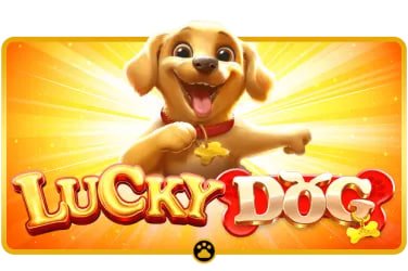 phopen apk bingo online game interface on mobile phone for Philippines players